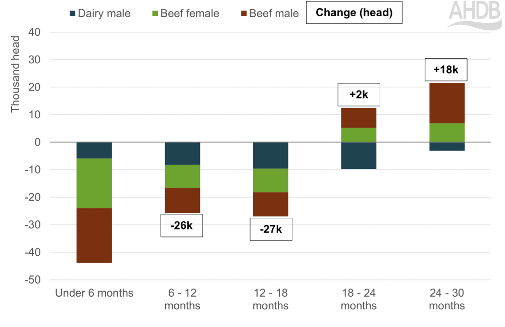 Year on year change in cattle population by age and type 